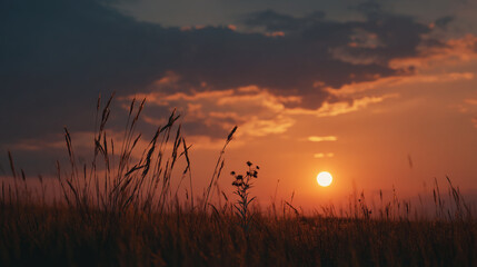 Fototapeta premium The sun sets over a serene field of tall grass and wildflowers at dusk