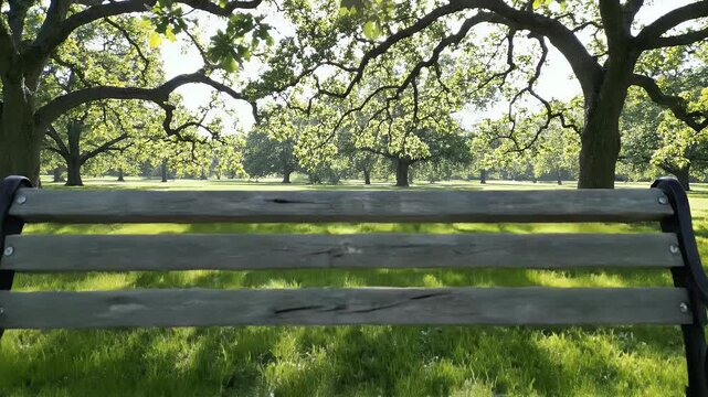 Park Bench Surrounded by Trees and Greenery.