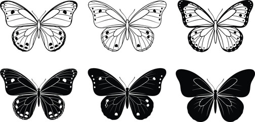 Butterfly silhouette and outline set in black and white, insect wings collection in different styles, vector illustration isolated on white background. © MstKhodeza