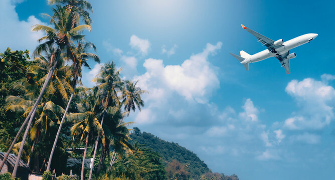 airplane flies through blue sky and white clouds above a summer beach with coconut palm trees, turquoise ocean water, and golden sand during a nature vacation on a sunny island coast