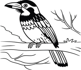 Obraz premium coppersmith barbet detailed silhouette vector illustration 