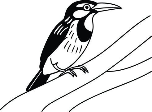 coppersmith barbet outline silhouette vector illustration
