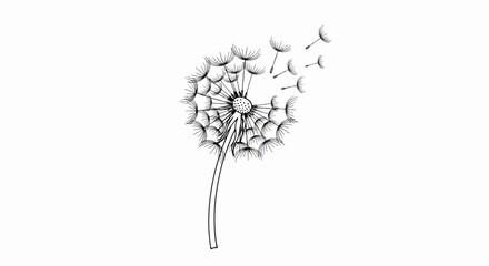 A delicate ink sketch of a dandelion dispersing seeds on a white background
