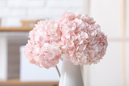 Vase with pink hydrangea flowers in room, closeup