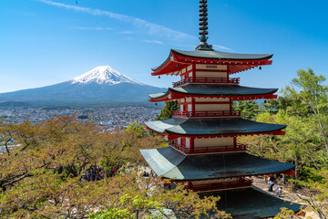 Obraz premium Pagoda Chureito and Mount Fuji (Prefecture of Yamanashi): the iconic Japanese landmark, located in Arakurayama Sengen park.