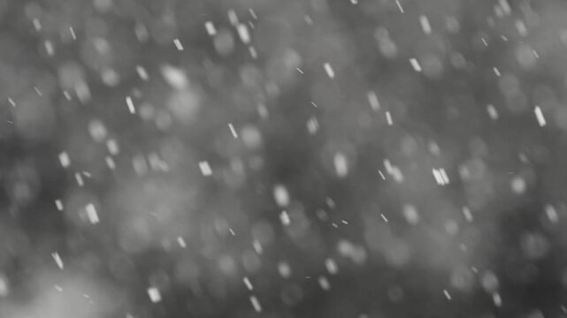 Tokyo,Japan - February 7, 2026: Falling heavy snow in February in Tokyo, Japan 
