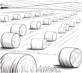 Black and line of a harvested field with many round hay bales © Rakibul V
