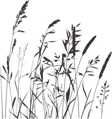 Dark Silhouette of Tall Grasses and Reeds Against black nature plant © Rakibul V