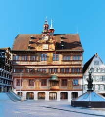 Historic Town Hall and Neptune Fountain on Market Square in Tubingen