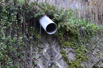 斜面に設置された排水管とシダ植物に覆われた法面
