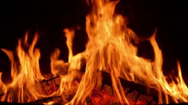 Vibrant Color Palette Highlight the rich, shifting hues of orange, red, and yellow within the flames, illuminated for maximum saturation.