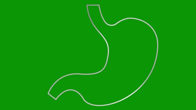 Animated linear silver symbol of stomach with pulsating circles. Focus of pain. Internal organ ache. Line gray vector illustration isolated on green background.