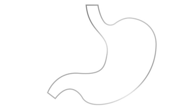 Animated linear silver symbol of stomach with pulsating circles. Focus of pain. Internal organ ache. Line gray vector illustration isolated on white background.