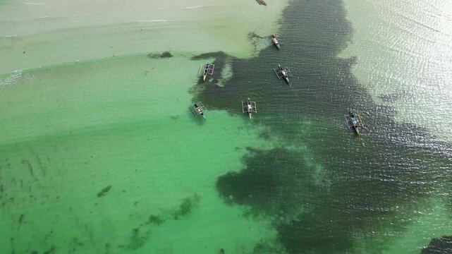 Top-down aerial highlighting white sand textures and the tropical palm tree patterns at Tondol Beach.