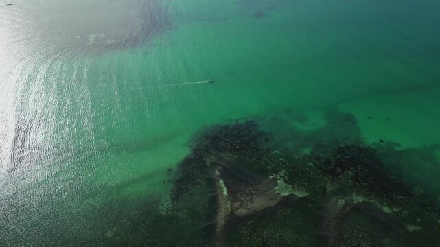 Low altitude aerial flyover showcasing bright white sand, tropical palm trees, and clear shallow water at Tondol Beach.