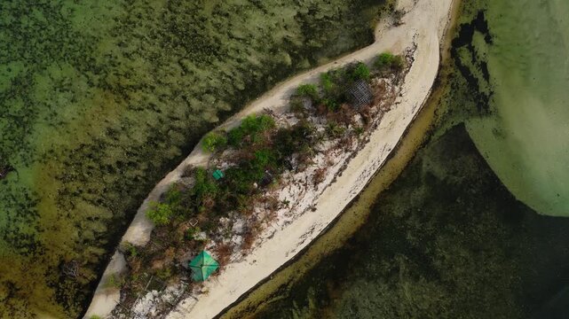 Aerial highlighting white sand beach lined with tropical palms and calm crystal clear waters at Tondol.