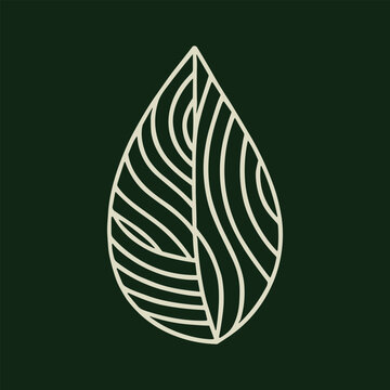 A minimalist line art leaf icon with a simple and elegant design on a dark background