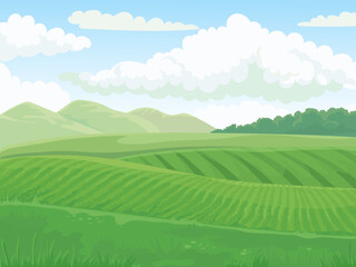 Green cultivated fields rolling through rural landscape © Tartila