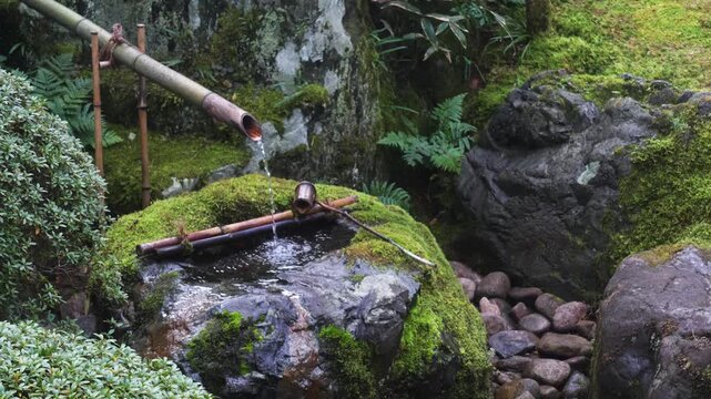 Shishi-odoshi Bamboo Water Feature in Traditional Japanese Garden