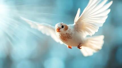 Fototapeta premium A stunning white bird soaring gracefully through the air, capturing the beauty and freedom of nature against a blurred, ethereal background of light.