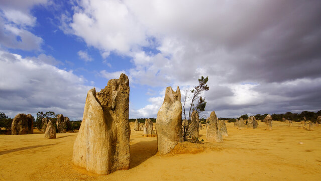 Dramatic Pinnacles Desert landscape with towering limestone formations under storm clouds, Nambung National Park, Western Australia