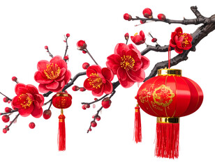 Chinese New Year plum blossom isolated on transparent background