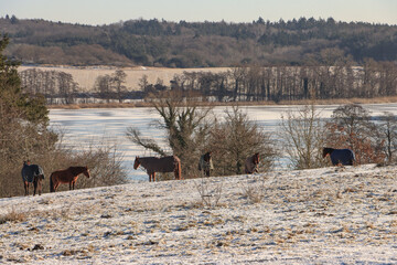 Winterliches, stilles Hinterland der Ostseeinsel Usdeom; Blick von Sallenthin zum Gothensee
