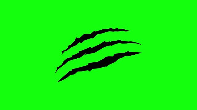 Cat tiger scratches, wild animal claws scratch, horror and grunge