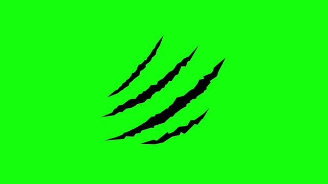 Claw scratch marks, cat tiger scratches paw, monster vector scratched