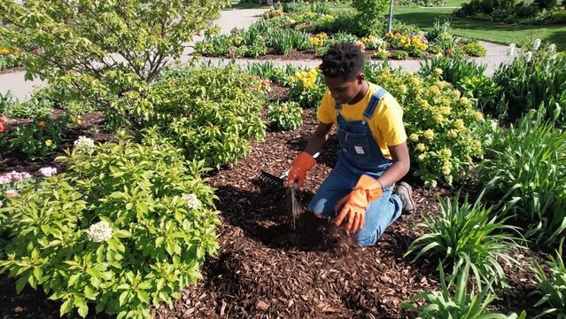 Young Black woman gardener kneeling in flower bed, hands in fresh mulch for planting and weed control, sunny community garden vibe, Earth Day sustainability theme