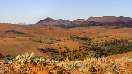 Bunyeroo Valley, Flinders Ranges, SA