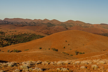 Bunyeroo Valley, Flinders Ranges, SA