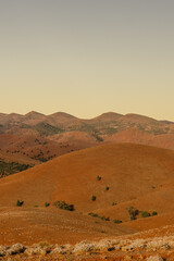 Bunyeroo Valley, Flinders Ranges, SA