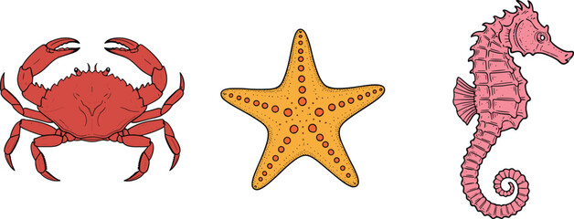 Crab starfish and seahorse marine animals vector illustration, ocean wildlife aquatic biology icons on transparent background  © Yehor