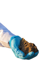 Field soil samples for analysis. Selective focus. Nature.