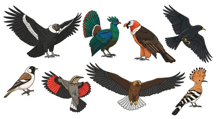 Obraz premium Diverse collection of bird species illustrations on white background