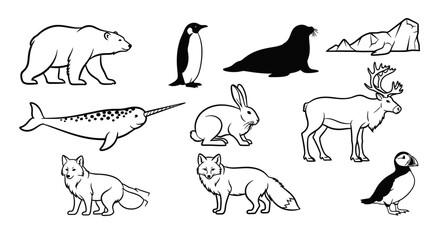 Set of diverse black and white arctic animals illustrations © SAQUEEN