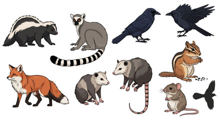 Diverse Wild Animals Cartoon Illustration Set © SAQUEEN