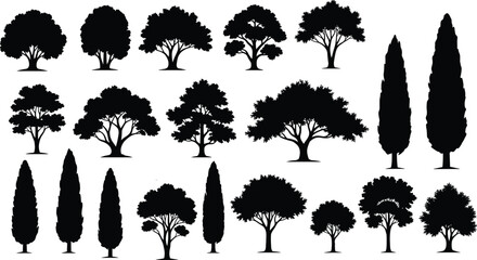 Black tree silhouette vector set featuring diverse forest species including cypress and oak for landscape architecture design and environmental nature conservation project graphics © Moklesur