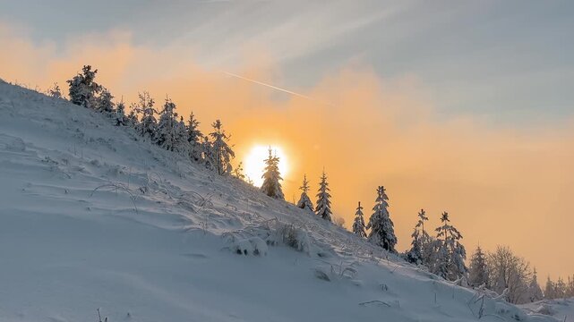 Sunrise Over Winter Mountains and Snowy Trees