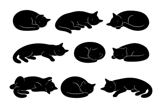 Black cat silhouettes in various sleeping positions on white background.