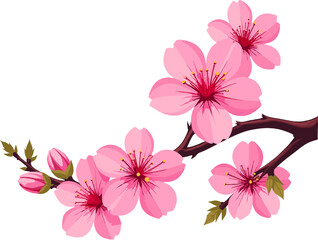 Cherry Blossom Branch Illustration, Blooming Sakura Flowers on Tree Branches for Spring Season, Mother&rsquo;s Day Design, Romantic Asian Floral Art, Elegant Nature Background Elements