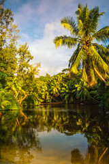 Obraz premium Golden light illuminates lush palm trees reflecting on a tranquil body of water at Anse Soleil, Mahe, Seychelles, capturing the untouched beauty and peaceful ambiance of a hidden tropical paradise.