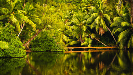 Lush tropical vegetation reflected in a serene body of water along Anse Soleil beach on Mahe Island, Seychelles. A wooden bridge offers a peaceful escape amidst the vibrant greenery. © Maurizio De Mattei