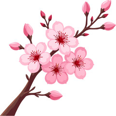 Cherry Blossom Branch Illustration, Blooming Sakura Flowers on Tree Branches for Spring Season, Mother&rsquo;s Day Design, Romantic Asian Floral Art, Elegant Nature Background Elements