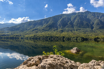 The scene shows calm water of Bohinj Lake (Bohinjsko jezero) reflecting mountains under a blue sky with clouds. Nature inviting for hiking and exploration.