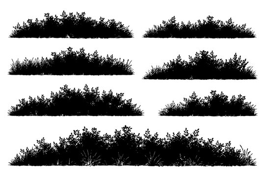 Set of detailed silhouette bushes and shrubs in various shapes.