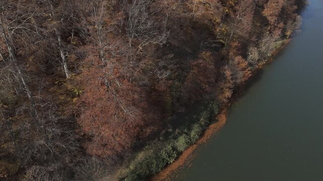 Ungraded log long take aerial descent from diagonal autumn woods to lake surface with floating foliage and sky reflection gradient