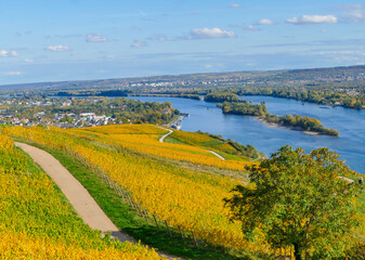 Weinweg R&uuml;desheim am Rhein