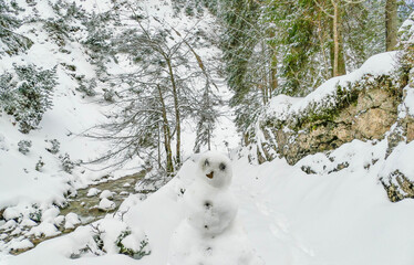 Schneemann in Felsenschlucht Pfanngraben Winter Schnee